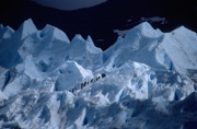 12 - Glacier Perito Moreno